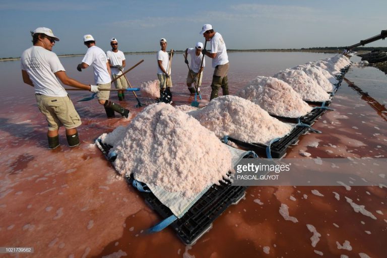 90% muối ăn chứa hạt vi nhựa