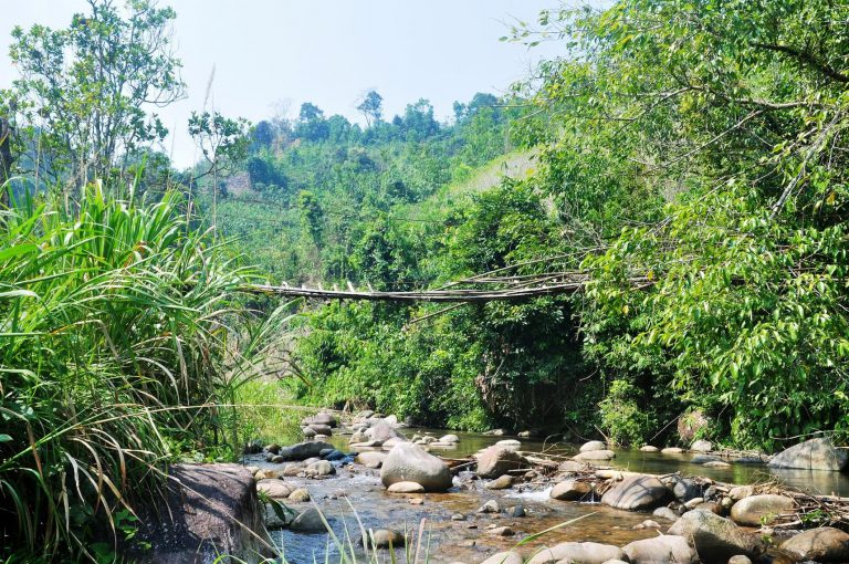 Làm rõ việc thu hồi Dự án thủy điện Đăk Di 4