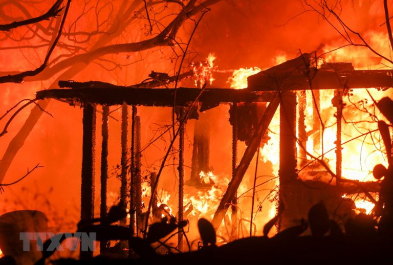 Các đám cháy rừng lan rộng, California chìm trong “biển lửa”