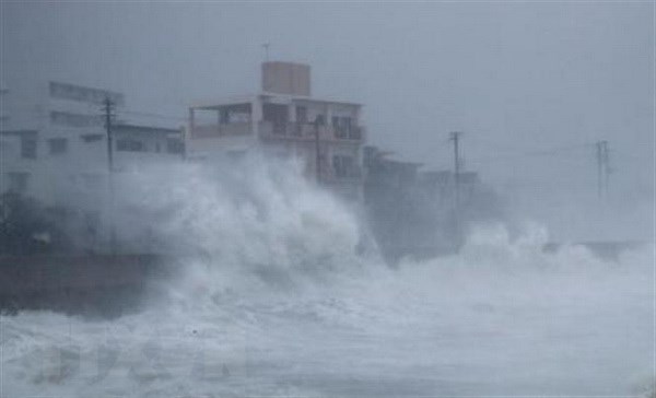 Các cơn bão xuất hiện với tần suất ngày một dày và nguy hiểm