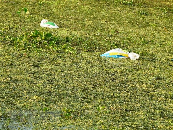 Tây Ninh: Ngang nhiên thả từng bao rác xuống lòng kênh