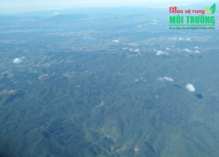 Mùa diệt muông thú ở Gia Lai (Kỳ cuối): Mâm thịt thú “che” mắt lực lượng chức năng