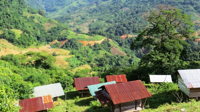 Quảng Nam: Gần 600 tỷ đồng hỗ trợ trồng rừng gỗ lớn