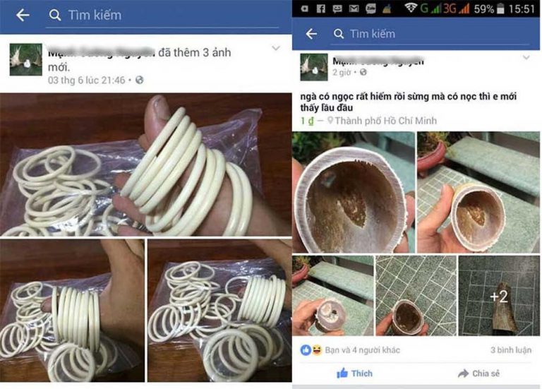Buôn bán ngà voi “đại náo” mạng xã hội