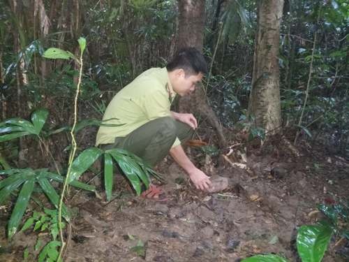Thả 6 cá thể động vật hoang dã về môi trường tự nhiên