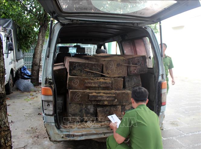 Dùng xe ô tô biển số giả vận chuyển gỗ trái phép
