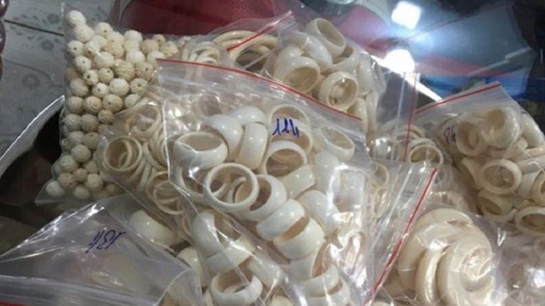“Nóng” nạn ngà voi nhập lậu