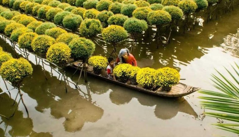 Tổ chức Diễn đàn phát triển bền vững ĐBSCL thích ứng với biến đổi khí hậu