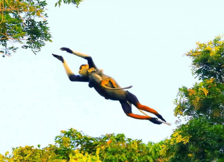 Trong sổ tay nhà văn “săn” chân đỏ