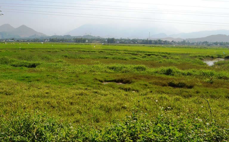 Đà Nẵng: Ruộng bỏ hoang, nước ô nhiễm do khai thác đất, đá