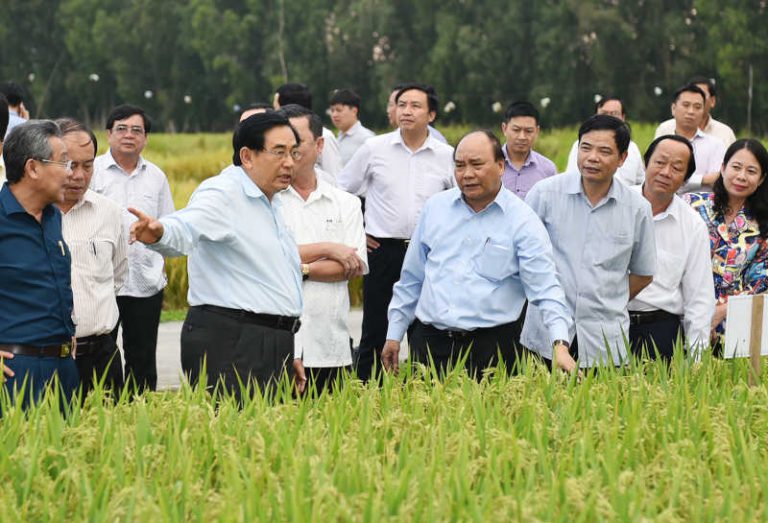 Thủ tướng đốc thúc triển khai hiệu quả hơn Nghị quyết “thuận thiên”