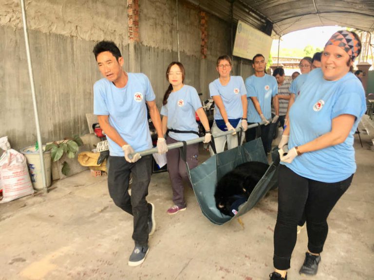 Giải cứu 2 con gấu nuôi nhốt 15 năm tại nhà người dân tại Bình Dương