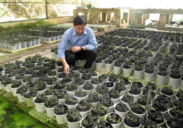 Chia sẻ công bằng và hợp lý lợi ích sử dụng nguồn gen