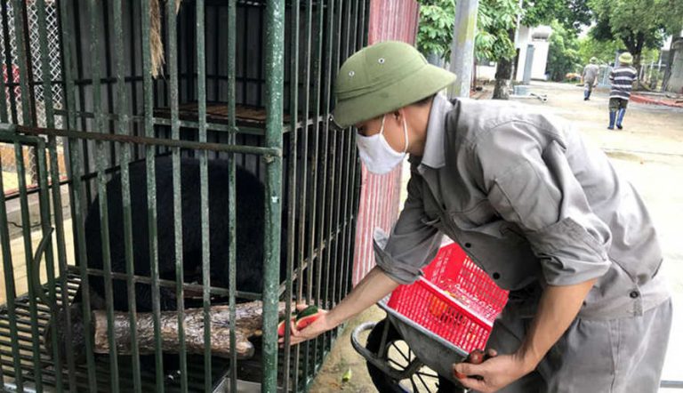 Nhiều vi phạm trong bảo vệ động vật hoang dã