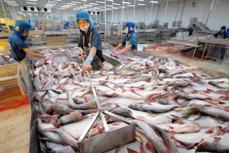 Giải pháp bảo vệ và phát triển nguồn lợi thủy sản