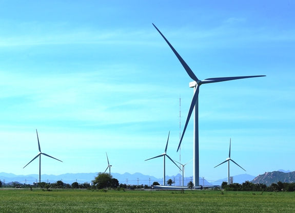 Ninh Thuận khởi công dự án nhà máy điện gió công suất 50MW
