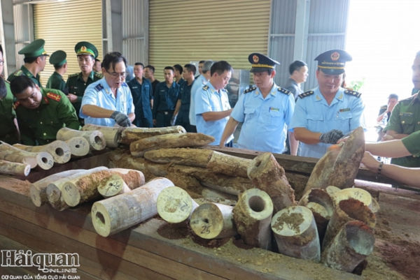 Hải quan Việt Nam phát hiện nhiều vụ vi phạm Công ước CITES có quy mô lớn