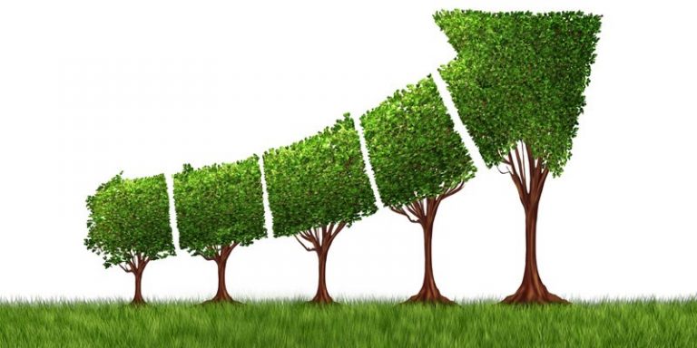Đầu tư nước ngoài với tăng trưởng xanh