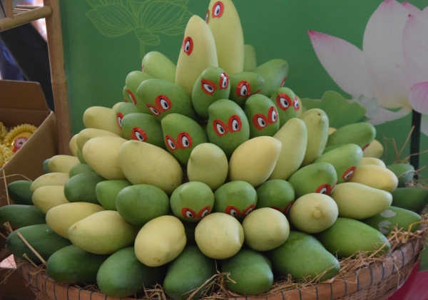 Đồng Tháp xuất khẩu lô xoài đầu tiên sang Mỹ