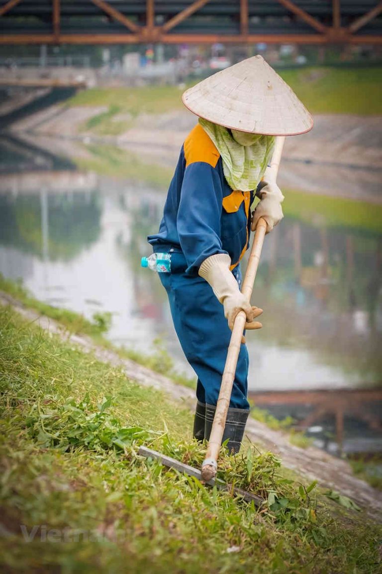 Những người dọn rác thầm lặng trên dòng sông Tô