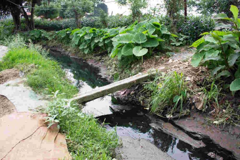 Nước thải “bủa vây” kênh thủy lợi
