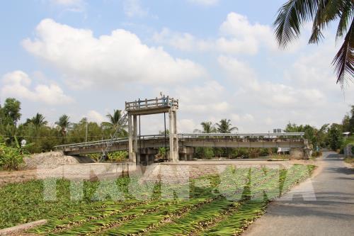 Dự báo mặn sẽ gia tăng ở Đồng bằng sông Cửu Long