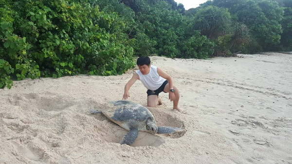 Khởi động chương trình bảo tồn rùa biển 2019
