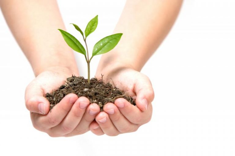 Chủ đề Ngày Quốc tế đa dạng sinh học 2019: “Đa dạng sinh học của chúng ta, thực phẩm của chúng ta, sức khỏe của chúng ta”