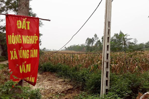 Thanh tra công bố kết quả rà soát kết luận thanh tra đất đai Đồng Tâm