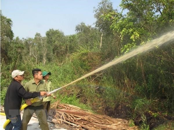 Một nửa rừng tràm U Minh Hạ đang ở mức báo động cháy cao nhất