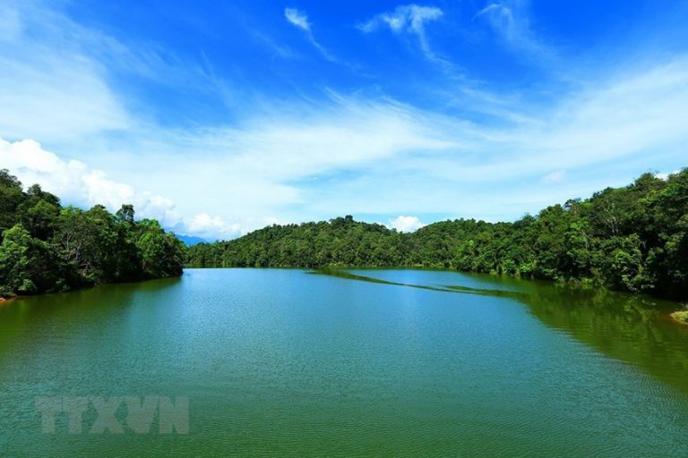 Cần thành lập Khu bảo tồn loài-sinh cảnh Pá Khoang-Mường Phăng
