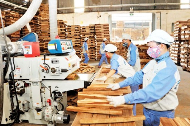 Vì sao đàm phán hiệp định VPA/FLEGT kéo dài đến 8 năm?