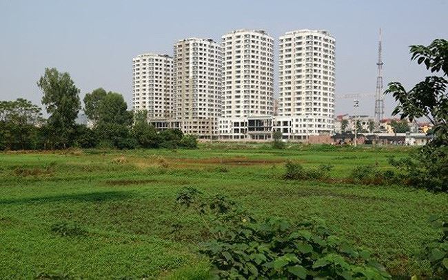 TP HCM muốn chuyển gần 400 ha đất ruộng thành khu công nghiệp
