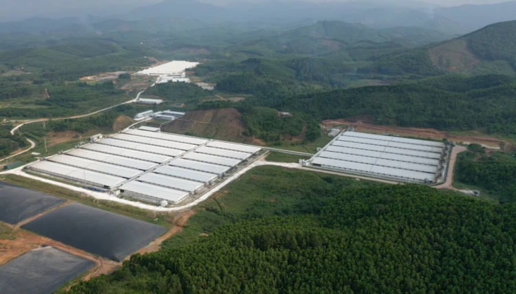 Bắc Giang: Đình chỉ 3 tháng Công ty Chăn nuôi Hoà Phát Bắc Giang gây ô nhiễm