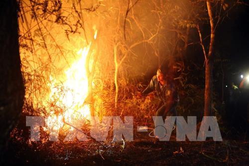 Điện Biên: Cháy rừng lớn trong đêm