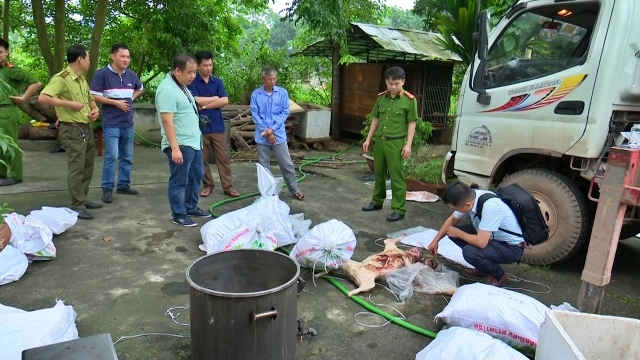 Thái Nguyên bắt giữ số lượng lớn xương và động vật quý hiếm