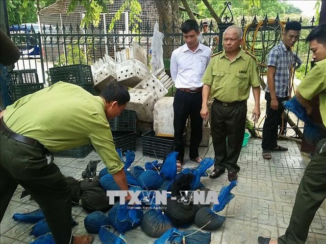 Săn bắt và buôn bán động vật hoang dã – Bài cuối: Cần sửa đổi, bổ sung khung pháp lý