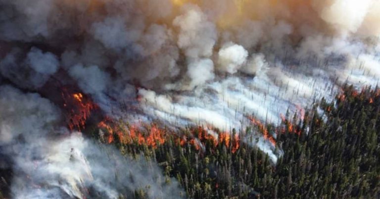 Cháy rừng ở Alberta, Canada: Hàng chục nghìn người phải sơ tán