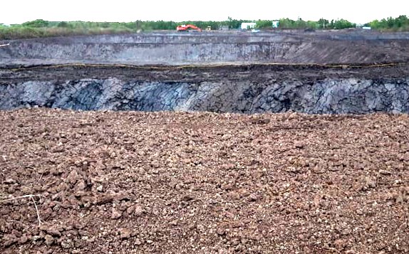 Vụ người dân phá rừng nuôi tôm ở Cà Mau: Xã nói có vi phạm, huyện bảo không