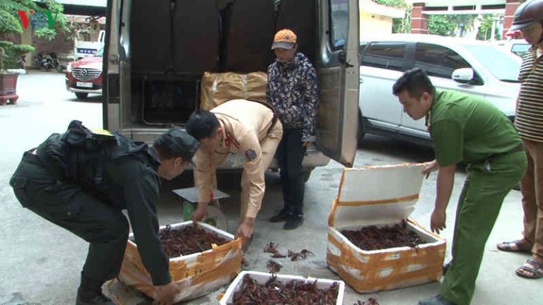 Sinh vật ngoại lai: Lợi và hại