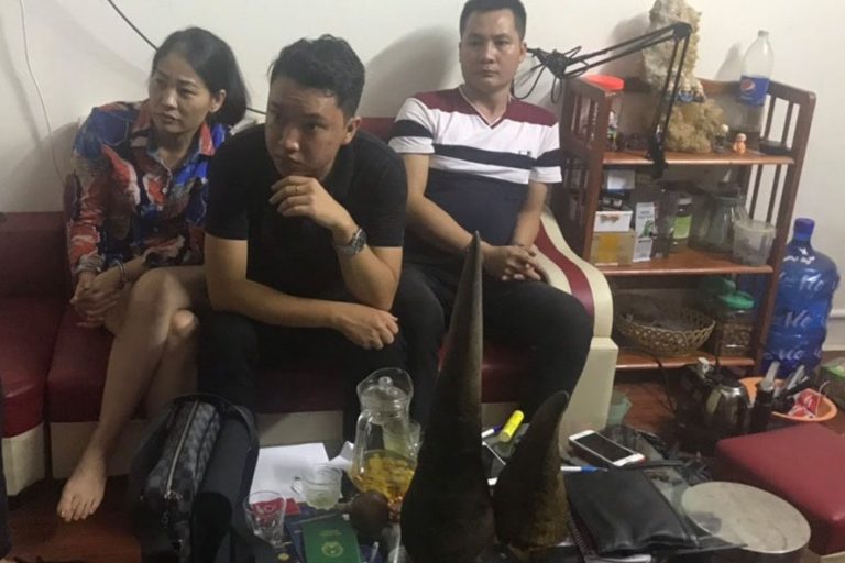 Quảng Ninh: Công an bắt vụ mua bán 2 chiếc sừng tê giác
