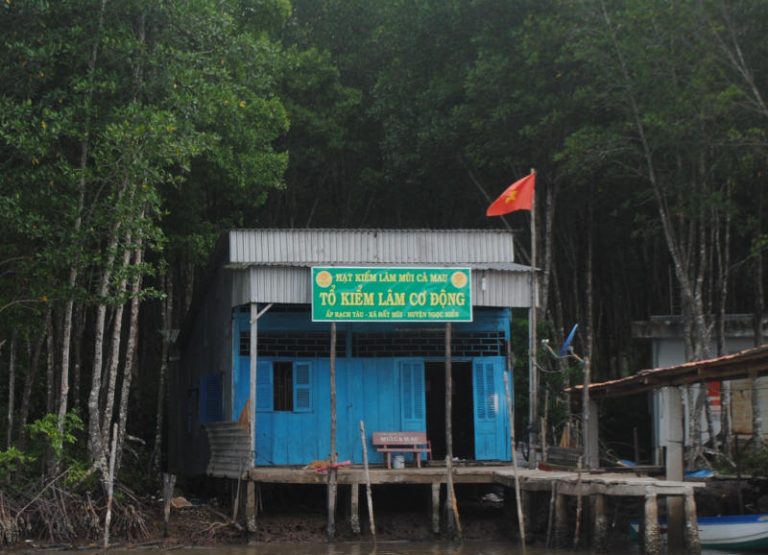 Chuyển hồ sơ vụ “lùm xùm” ở vườn Quốc gia Mũi Cà Mau sang cơ quan điều tra