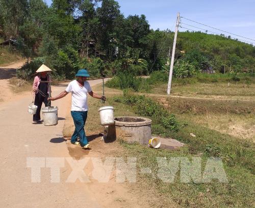 Quảng Bình: “Mưa vàng” cứu hàng nghìn ha lúa sắp chết khô