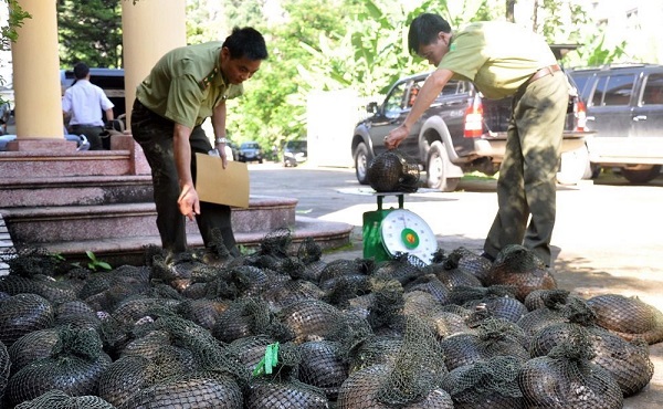 Về kiểm sát việc tiếp nhận, giải quyết tố giác, tin báo về tội phạm đối với cơ quan Kiểm lâm