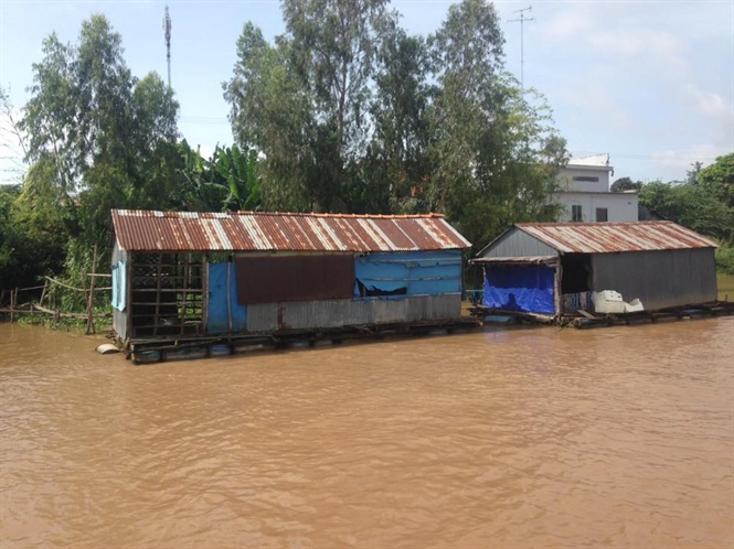 Nước sông Tiền, sông Hậu bị ô nhiễm