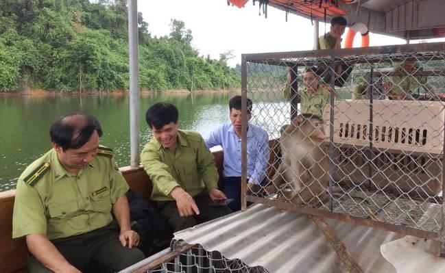 Thả 12 cá thể khỉ vào Vườn quốc gia Vũ Quang