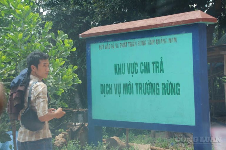 Quảng Nam: Sớm tháo gỡ vướng mắc trong cấp sổ đỏ đất lâm nghiệp
