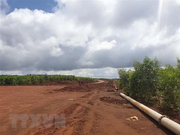 Đắk Nông trồng hơn 30 ha rừng phục hồi môi trường sau khai thác bauxite