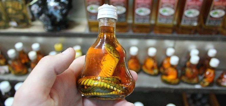 Y học cổ truyền Trung Quốc: mối đe dọa của động vật hoang dã, quý, hiếm