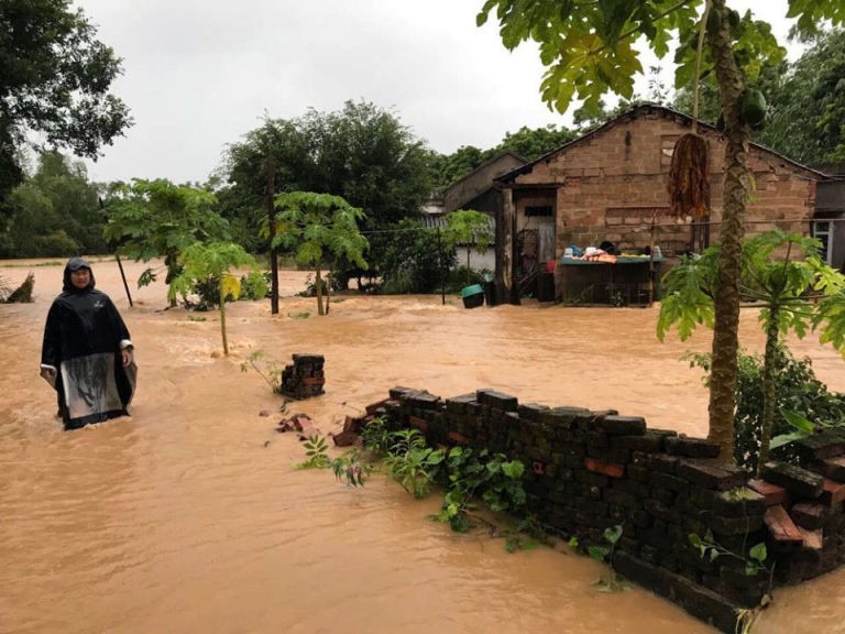 Quảng Ninh: Mưa lớn gây ngập úng hàng trăm ha lúa mùa, sạt lở đường giao thông